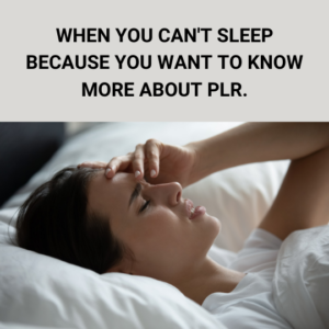 Meme about needing to learn about using PLR.